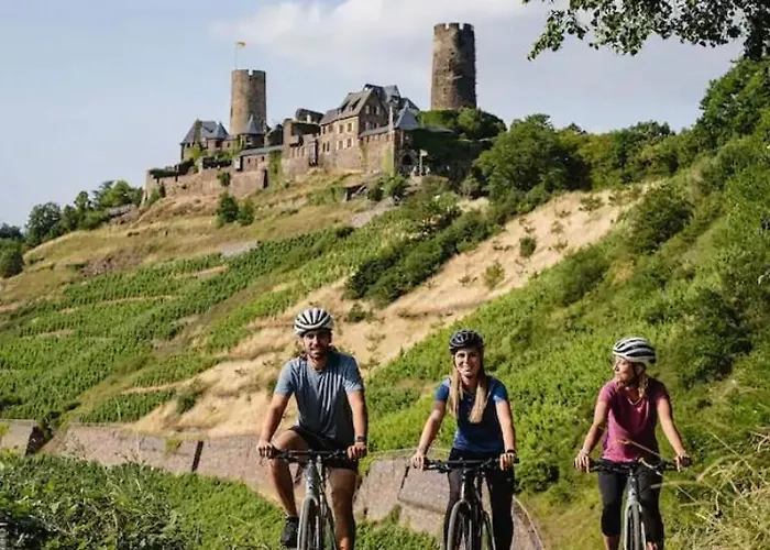 Rheinmosel Glueck 4 Διαμέρισμα